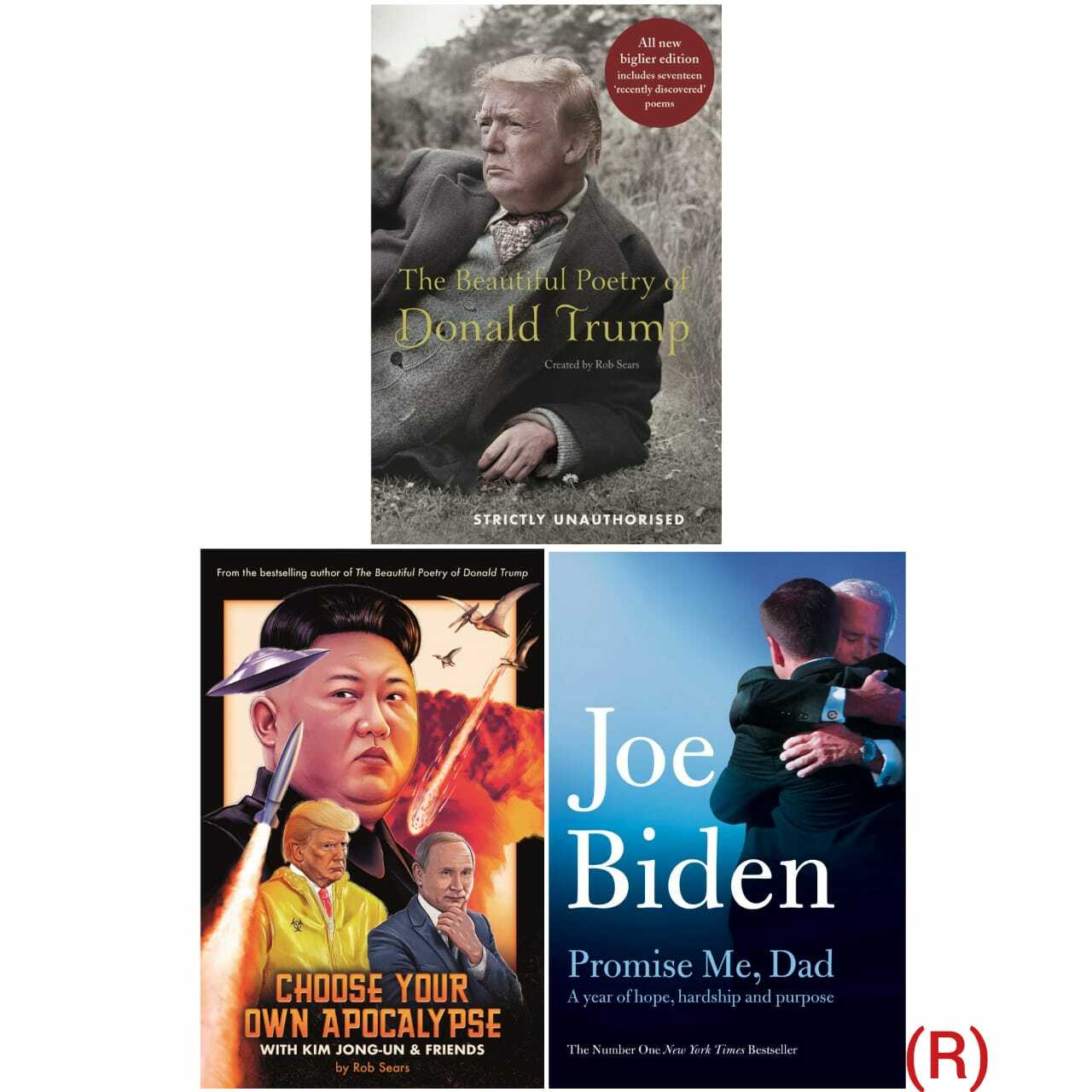 Choose Your Own Apocalypse,Beautiful Poetry,Promise Me 3 Books Collection Set