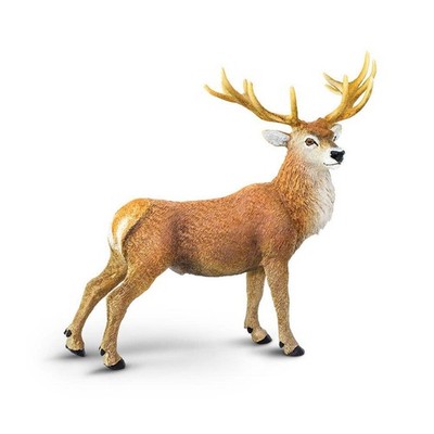 Red Deer Buck Wild Safari Animal Figure Safari Ltd