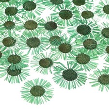 12er-Pack Trockenblumen f&uuml;r Harz, DIY, Schmuck, Seifen Gr&uuml;n