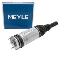 Meyle Luftfederbein FüR Land Rover Range Rover Sport II Vorne Links LR060401
