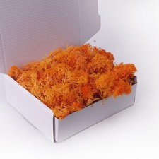 3.5 OZ Preserved Moss, Orange, Faux Moss Decor, Crafts, Art Wall, Florist