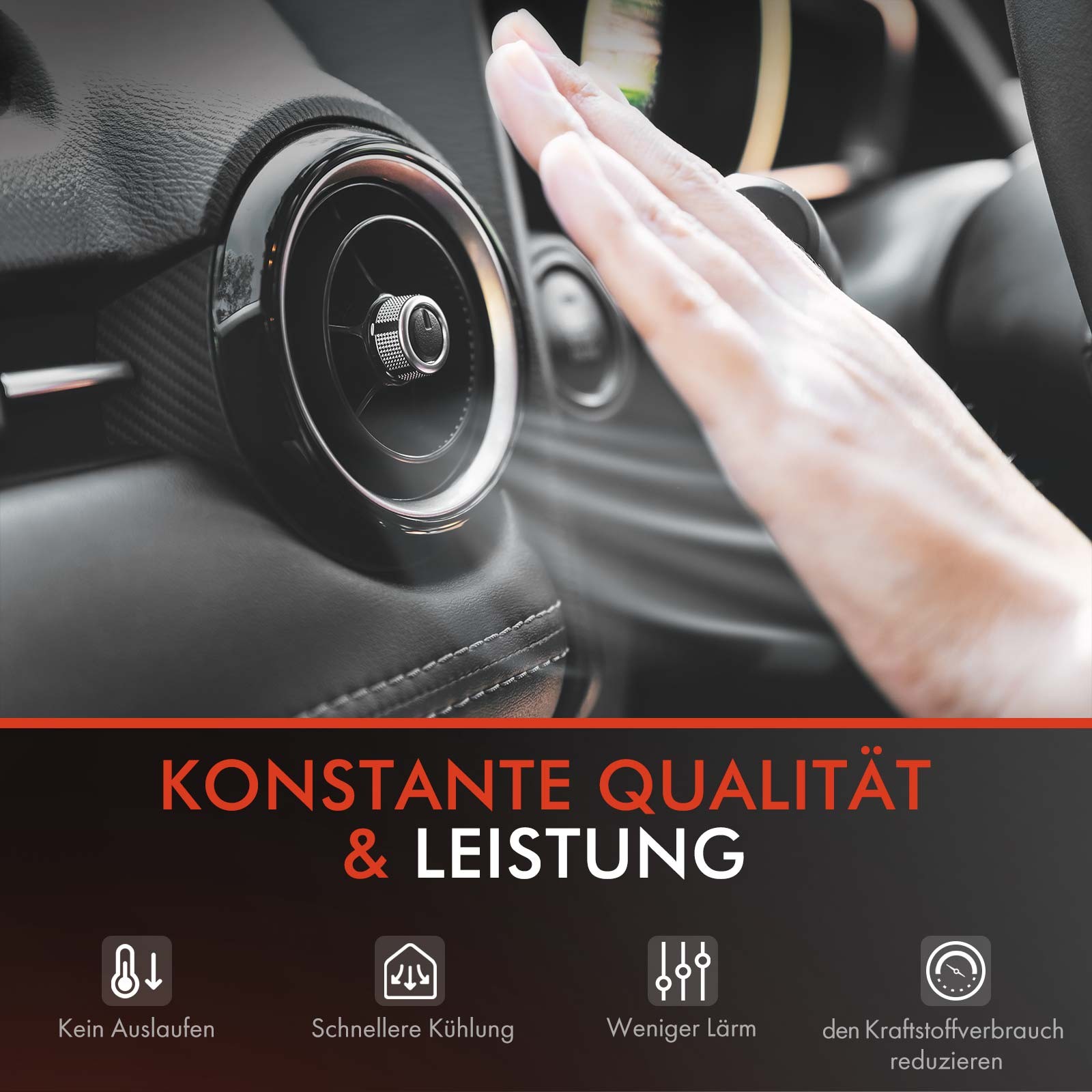 Bild 6 von 8
