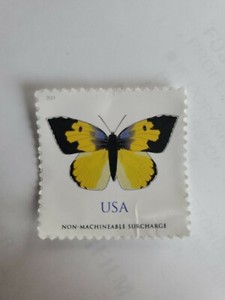 US-2019 Scott #5346 Single MNH Stamp - California Dogface.