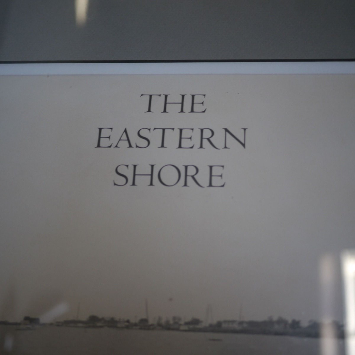 Vintage Steve Szabo The Eastern Shore Platinum Photographs