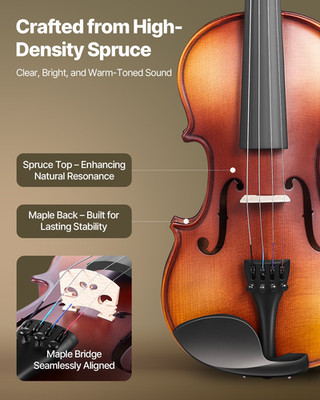 Violin 1/4 Size Fiddle Set Solidwood for Beginners with Case Rosin Brown