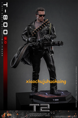 Terminator 2 T800 2.0 - Hot Toys MMS795 Arnold Schwarzenegger 1/6