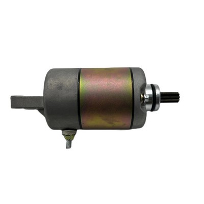NEW Starter Motor for Buyang Feishen 300CC D300 G300 ATV Quad