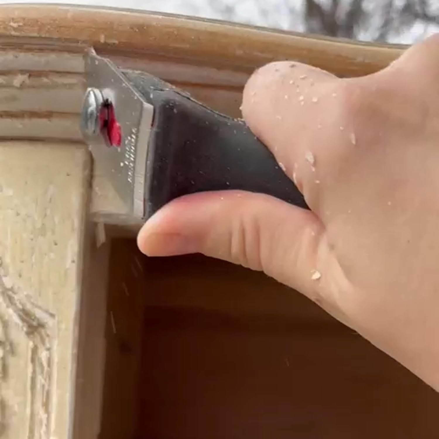 Professional Soft-Grip CS6 Scraper Set - 6 Stainless Steel Paint Blades Included