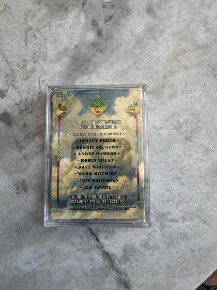 2025 LEAF SEASONS IN THE SUN - CLOUD 9 - AUTO BOOKLET HW TO 8 - Image 2 of 3