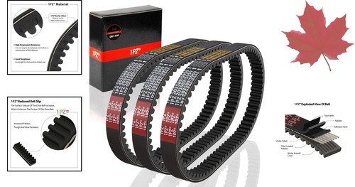 Universal Go Kart Drive Belt - Pack of 3 - Manco 5959 / Comet 203589 - Bulk - Foto 2 di 9