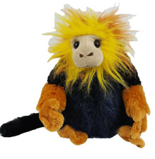 Golden Lion Tamarin 8