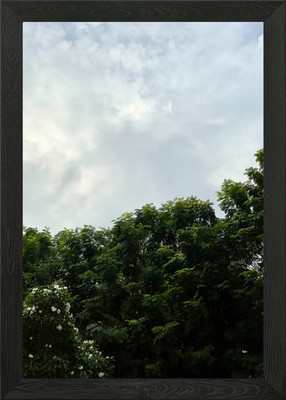 Trees and Cloudy Sky Framed Wall Art Poster Canvas Print Picture