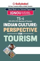 Gullybaba. Com Panel | TS-04 Indian Culture | Taschenbuch | Englisch (2001)