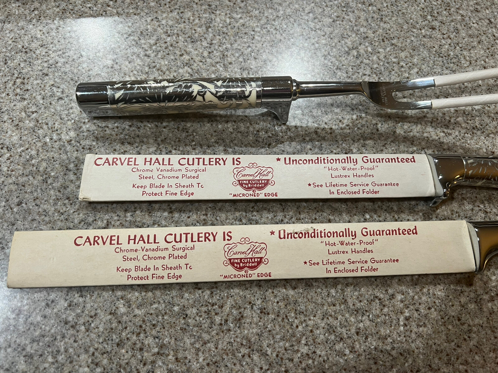 11 Piece VINTAGE CARVEL HALL BY BRIDDELL STEAK KNIFE/CARVING SET Silver