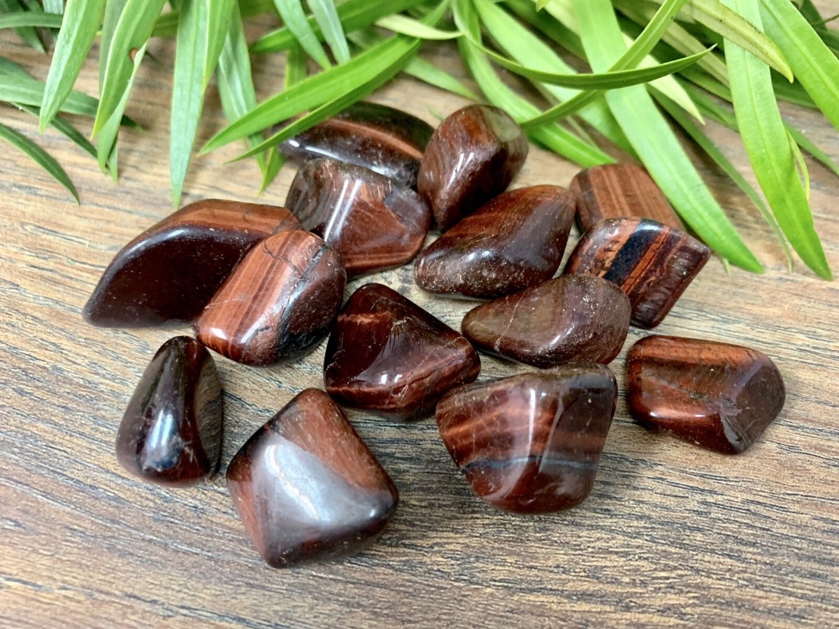 1/2 lb Red Tiger Iron Tumbled Stones Crystal Therapy Gemstone Specimen 