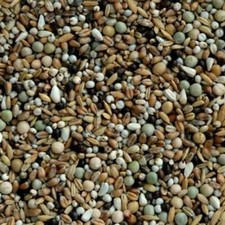 Matador Rassetaubenfutter helle Rassen 25 kg Futter für helle Rassetauben RTHR