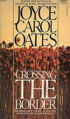Crossing The Border Taschenbuch Lisa Tuttle