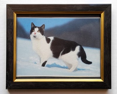 Bilder Rahmen  13 x 18 cm.  Preis reduziert