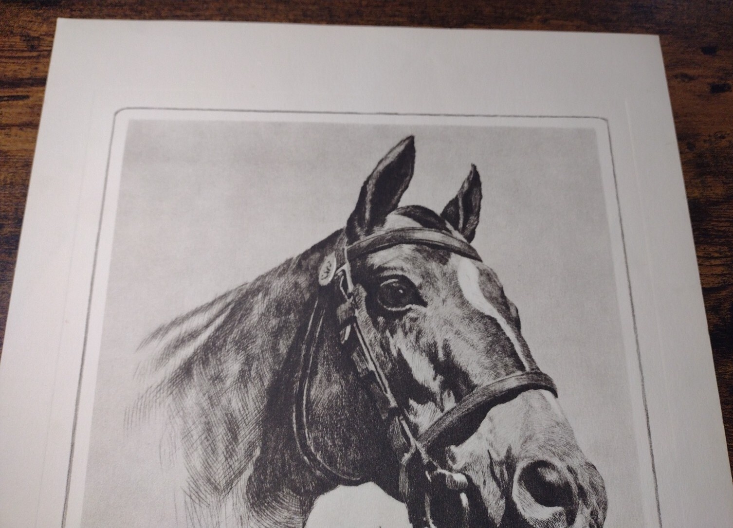 Picture 20 of 24