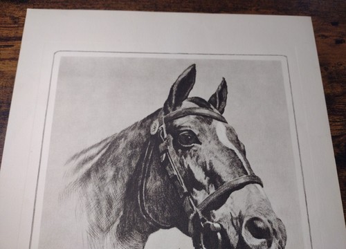 1956 Memorial Portfolio R. H. Palenske Etchings "Man O' War" & "Black Labrador" - Picture 20 of 24