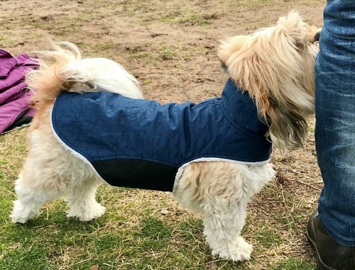 OilSkin & Luxury Dog Coat Jacket jumper Sherp/wool Waterproof Winter all sizes - Picture 9 of 25
