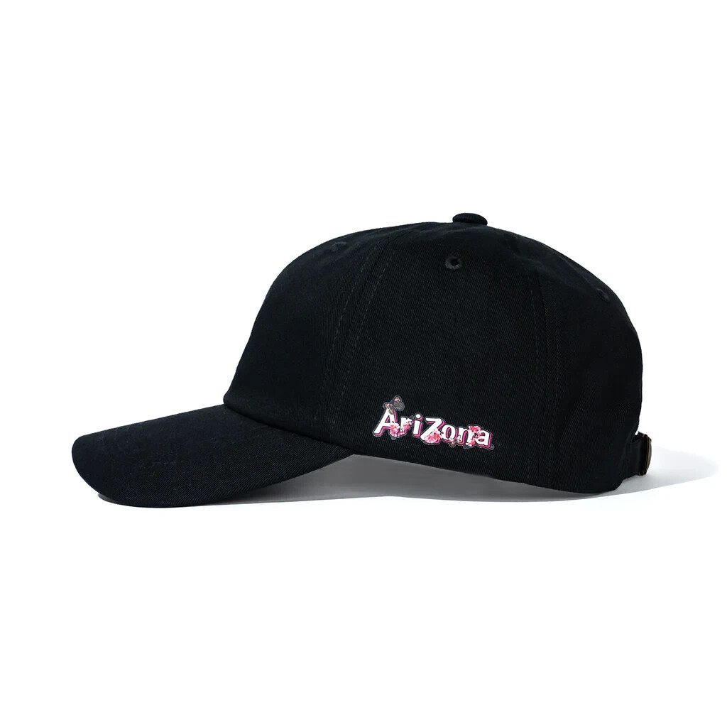 Anti Social Social Club x Arizona Cap, Black, NEW, RARE, DEADSTOCK