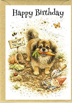 Geburtstagskarte Tibetischer Spaniel Hund (4 Zoll x 6 Zoll) - innen leer - von Starprint