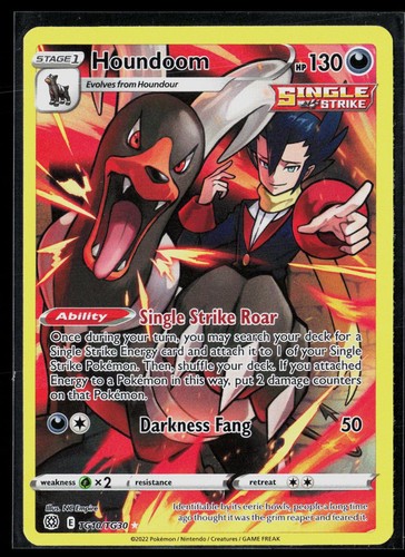 Houndoom TG10/TG30 Holo NC Empire Brilliant Stars Trainer Gallery Pokemon LP