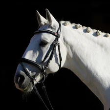Kieffer Ultrasoft FlexiStyle Snaffle Bridle - Black - Cob