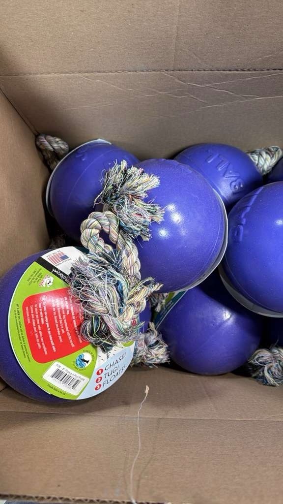 Jolly Pets Romp N Roll 8&rdquo; Purple Dog Toy