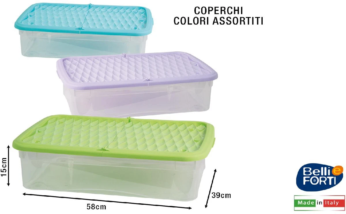 timido cicatrice colore contenitori trasparenti con coperchio amazon silenzio De