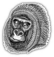 Patterned Gorilla Head Car Bumper Sticker Decal "SIZES"