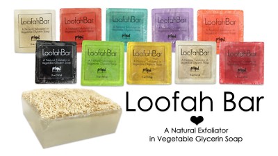 Primal Elements LOOFAH BAR Natural Exfoliate Glycerin Soap Choice from 10 Scents