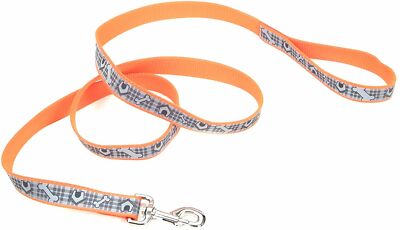 Lazer Brite Reflective Leash, 3/8