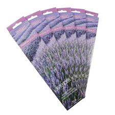 Hosley 120 Pack Incense Sticks + Bonus 120 Pack (Total 240) – Lavender–Bulk Pack