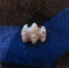 BATMAN Shaped Potato Chip/Crisp, 20 Yrs Old.