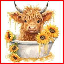 Highland Cow Diamond Painting 13" x 13" Craft Kit   Fun for All Ages 