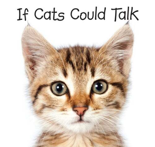 If Cats Could Talk by New Seasons: Used