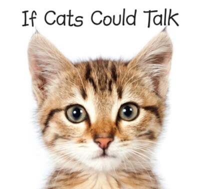 If Cats Could Talk by New Seasons: Used