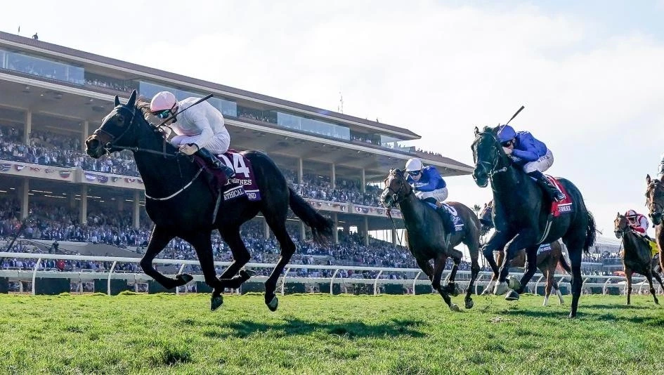 DVD - 2025 Breeders' Cup Television Broadcast - NBC - USA - FanDuelTV - 8+ Hours Foto 4 de 4