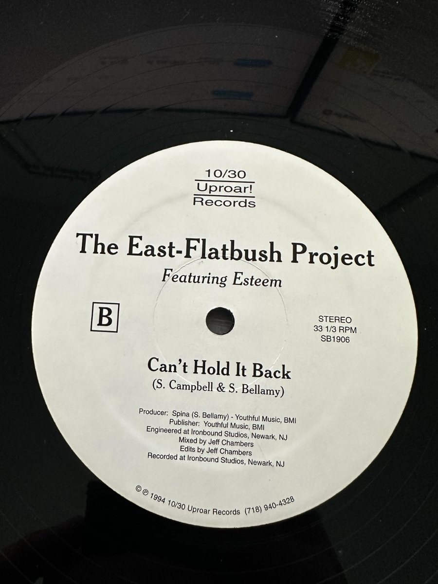 East-Flatbush Project– A Madman's Dream The East-Flatbush Project – A Madman's Dream - OG 1994 Hip Hop 12
