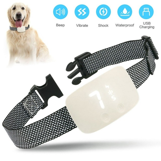 best bark collar 2018