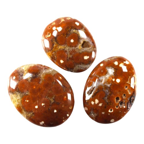 Three - Madagascar Orbicular Ocean Jasper Palm Stones 45-53mm / 120g TW - Picture 3 of 4