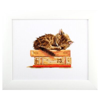 Cats dream M642 RTO Counted Cross Stitch Kit