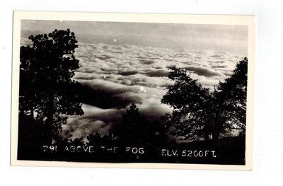 Above The Fog - Elevation 5200 Ft  - Early 1900s? RPPC .
