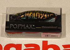 WOW! Megabass RARE! MYS POP MAX  "TOMAN BUNGAM" Tough Color  FREE SHIPPING