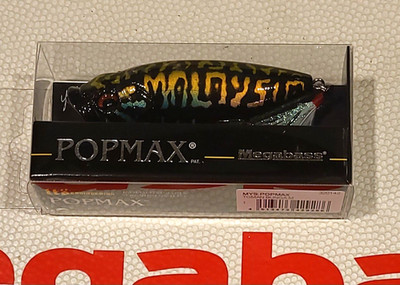 WOW! Megabass RARE! MYS POP MAX  ''TOMAN BUNGAM'' Tough Color  FREE SHIPPING