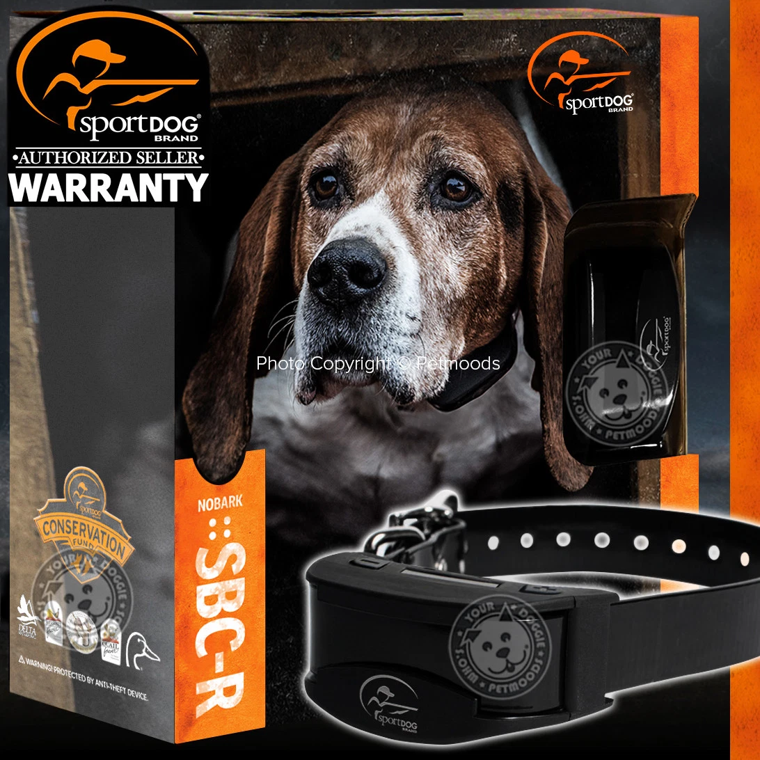 SportDOG SBC-R NoBark Rechargeable Collar Stop Dog Barking | eBay