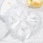 Foto 7 di 11