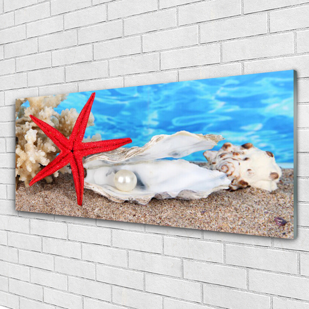 Tableau étoile de mer impression sur verre acrylique de 125x50 cm pour salon